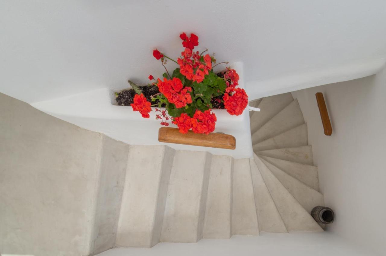Lasia Boutique Apartment Ándros Kültér fotó